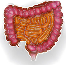 Syndrome du Colon Irritable